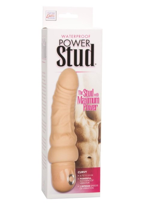 Wibrator-POWER STUD CURVY IVORY CalExotics