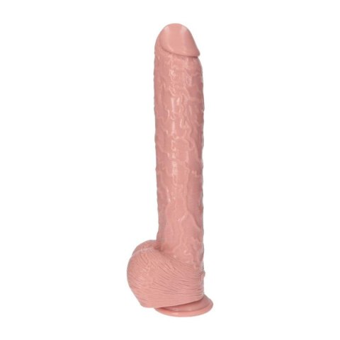 Duży penis naturalny kształt z przyssawką sex 40cm Toyz4lovers