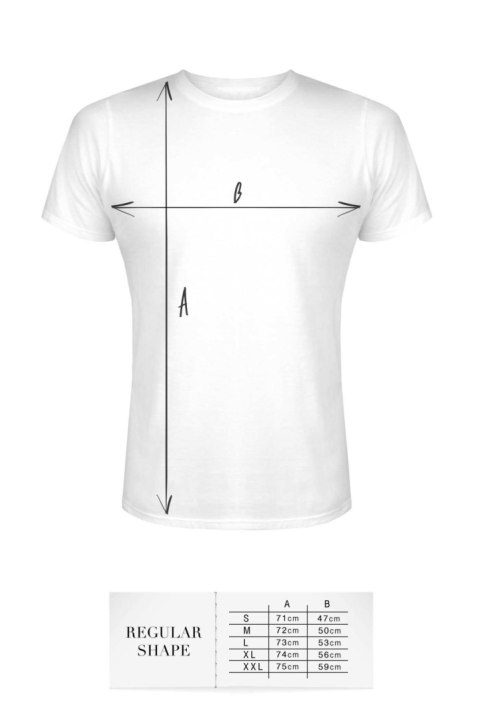 T-shirt men white M regular Demoniq