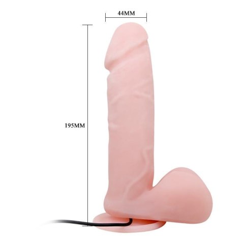 Wibrator z przyssawką penis na pilota jądra 19cm BAILE