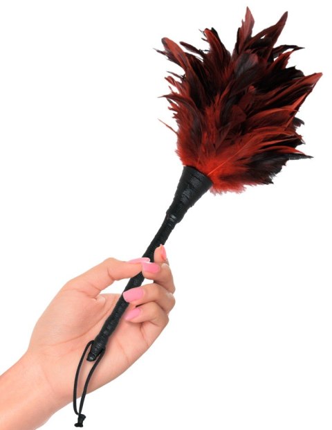 FFS Frisky Feather Duster Fetish Fantasy Series