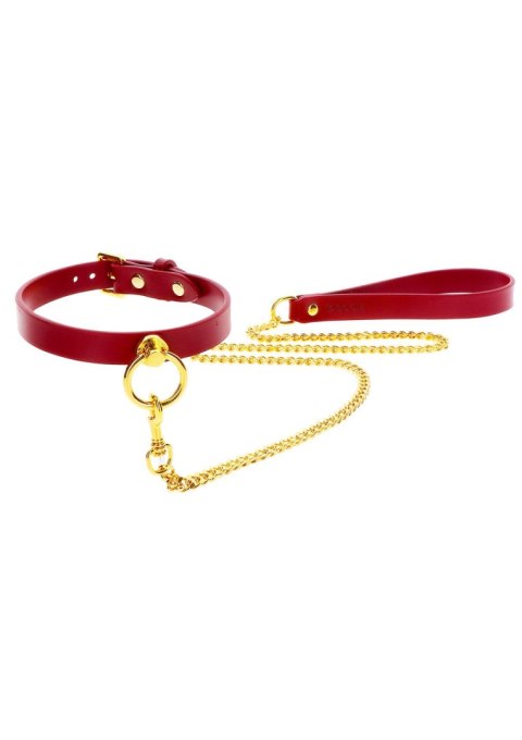 O-Ring Collar and Chain Leash Taboom