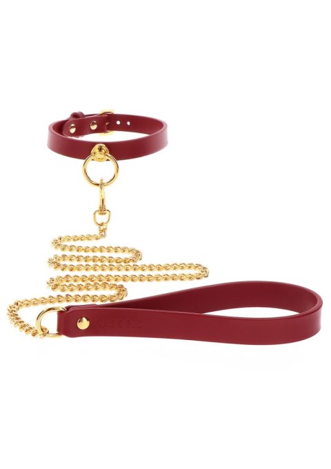 O-Ring Collar and Chain Leash Taboom