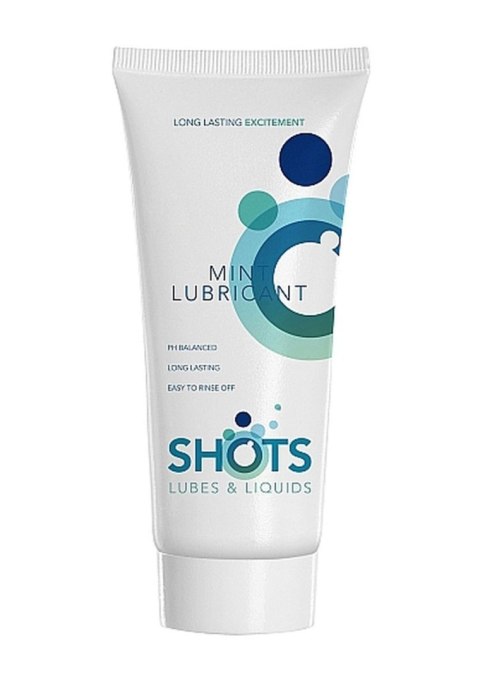 Mint Lubricant - 100 ml ShotsToys