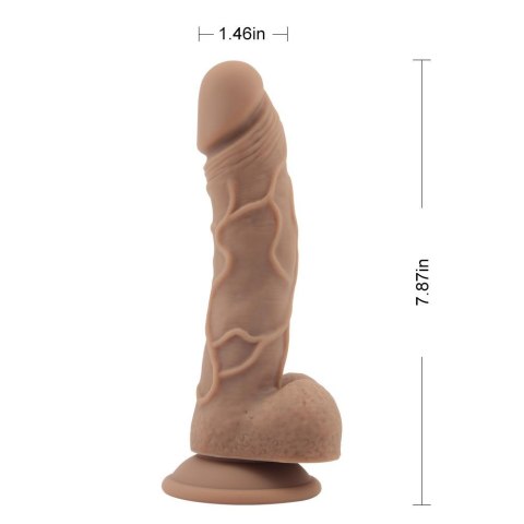 Realistyczne dildo penis jądra przyssawka sex 20cm Nakedlegend