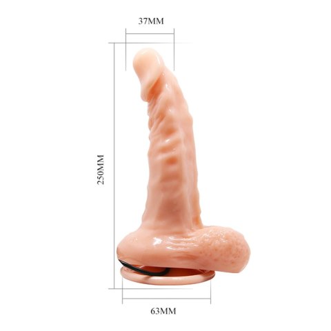 Realistyczne dildo z wibratorem i przyssawką 25 cm BAILE