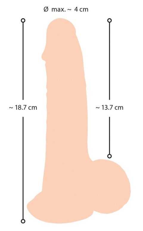 Realistyczny żylasty penis z przyssawką 19 cm Nature Skin