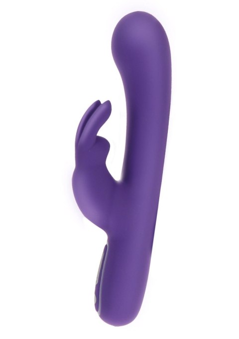 Exciting Rabbit Vibrator Purple TOYJOY