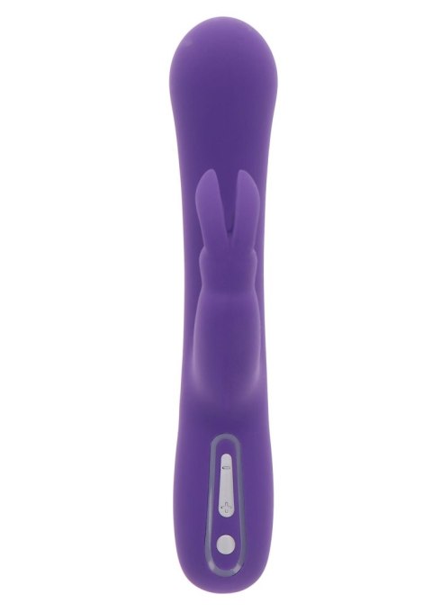 Exciting Rabbit Vibrator Purple TOYJOY