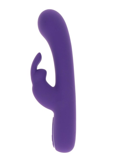 Exciting Rabbit Vibrator Purple TOYJOY