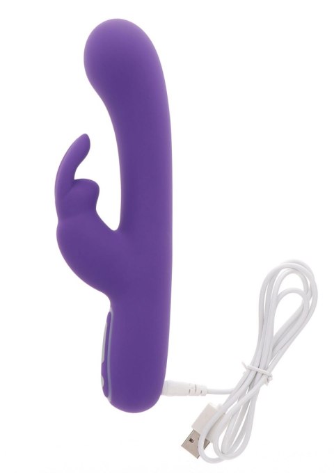 Exciting Rabbit Vibrator Purple TOYJOY