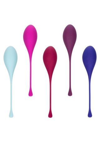 Kegel Training 5 Pcs Multicolor CalExotics