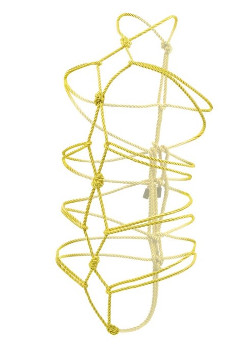 Boundless Rope 10M Yellow CalExotics