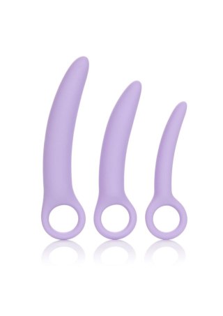 Alena Set of 3 Dilators Purple CalExotics