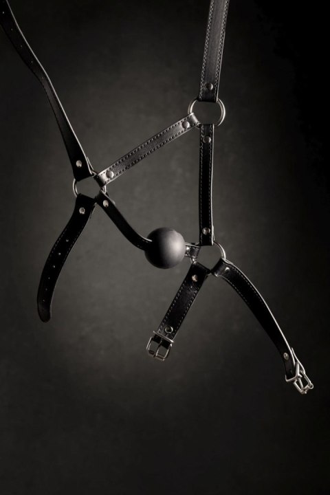 Head Harness with Solid Ball Gag - Black Ouch!