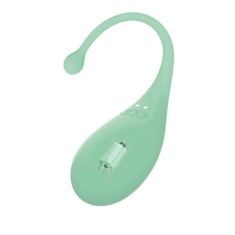 AD.Palpitation Mint (Huevo Vibrador + Cable + App) Adrien Lastic