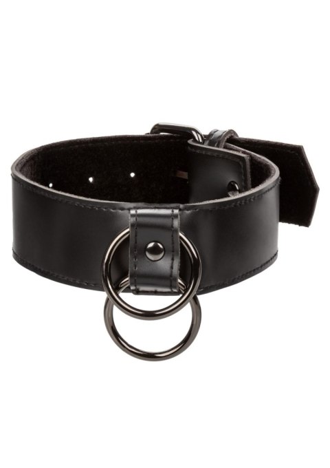 Collar With Chain Leash Black CalExotics