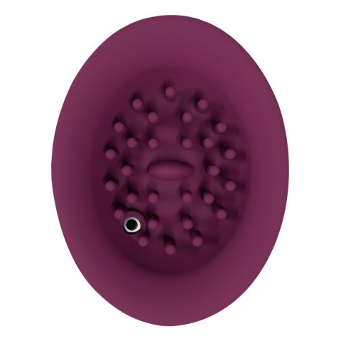 Twitch 3 - Rechargeable Vibrator & Suction - Silicone - 10 Speed - Burgundy Innovation