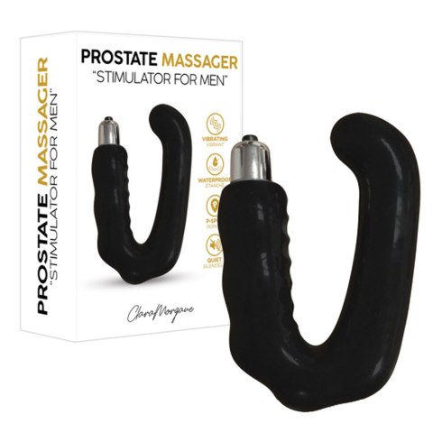 Wibrujący masażer Prostate Massager