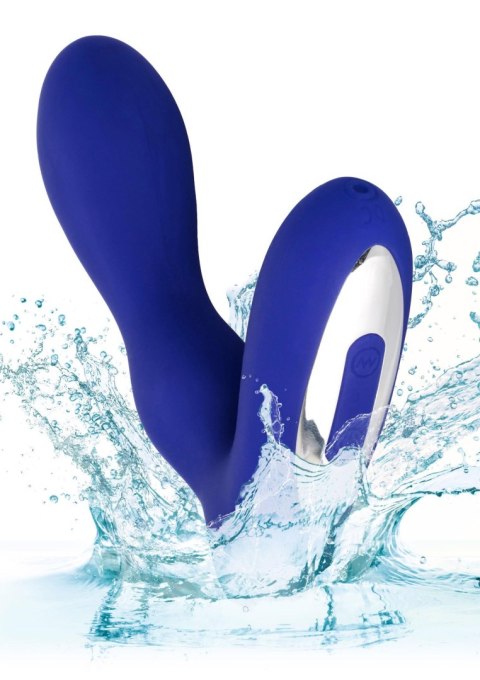 Plug/vibr-WIRELESS PLEASURE PROBE BLUE CalExotics