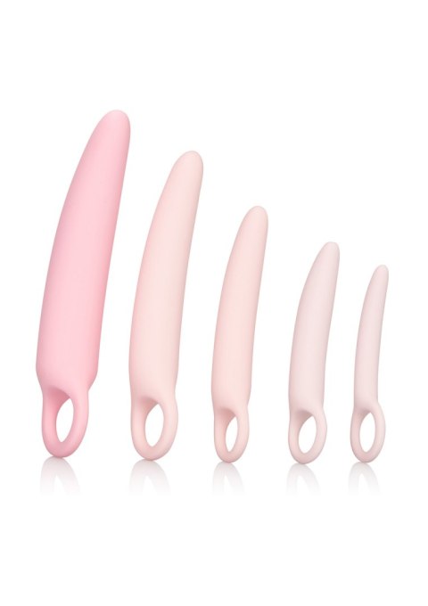 Dildo-INSPIRE SILICONE DILATOR 5 PCS SET CalExotics