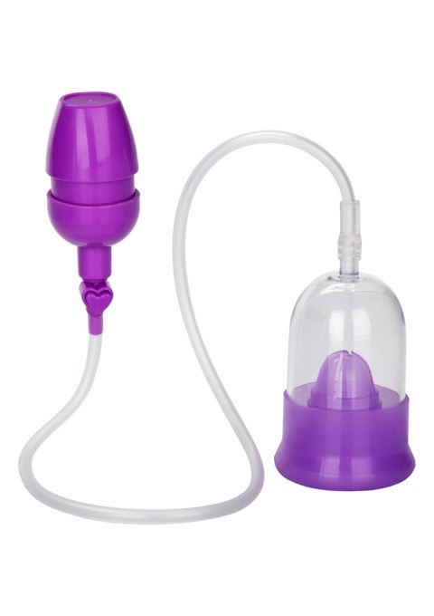 Pompka-INTIMATE PUMP PURPLE CalExotics