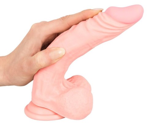 Realistyczny gruby duży penis dildo przyssawka 21c Medical Silicone